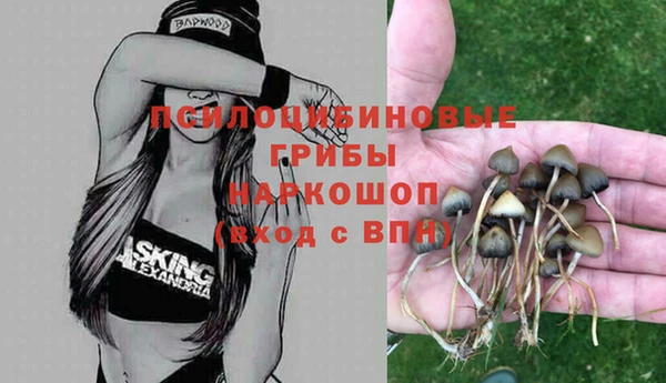 ECSTASY Остров