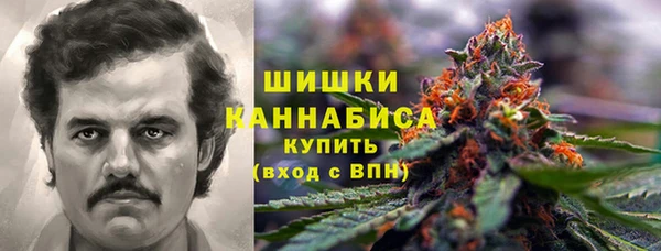 мдпв Осташков
