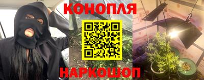 шишки Ставрополь