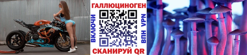 Галлюциногенные грибы Psilocybine cubensis Урус-Мартан