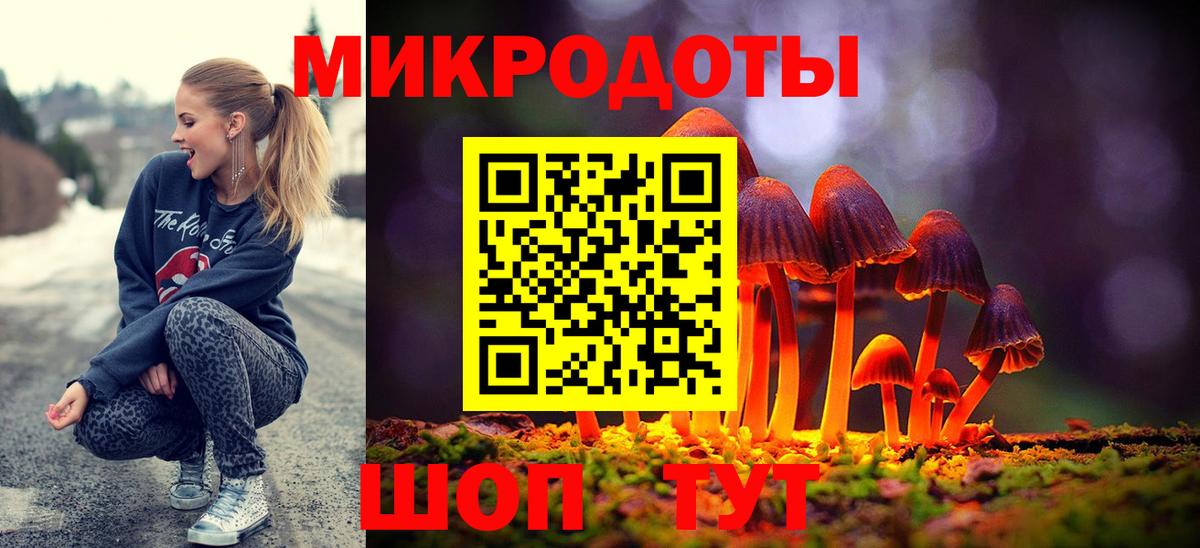 Псилоцибиновые грибы мицелий Урус-Мартан